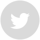 contact-icon-twitter